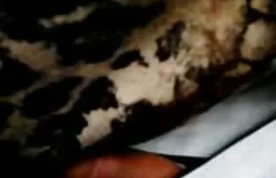 XXX Starta och svenskasexfilmer samordna