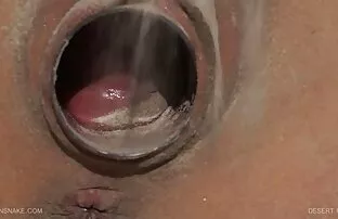 XXX Master of sexfilm äldre kvinnor anatomy (översatt)