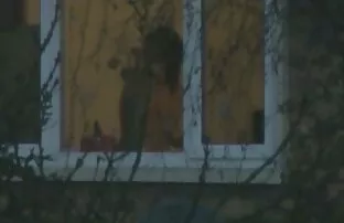 XXX Homer Simpson, gravid sexfilm fru Marge och